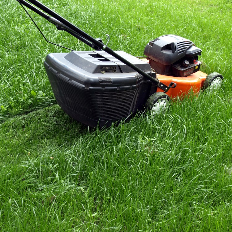 Lawn Care and Landscaping in Haslet, TX