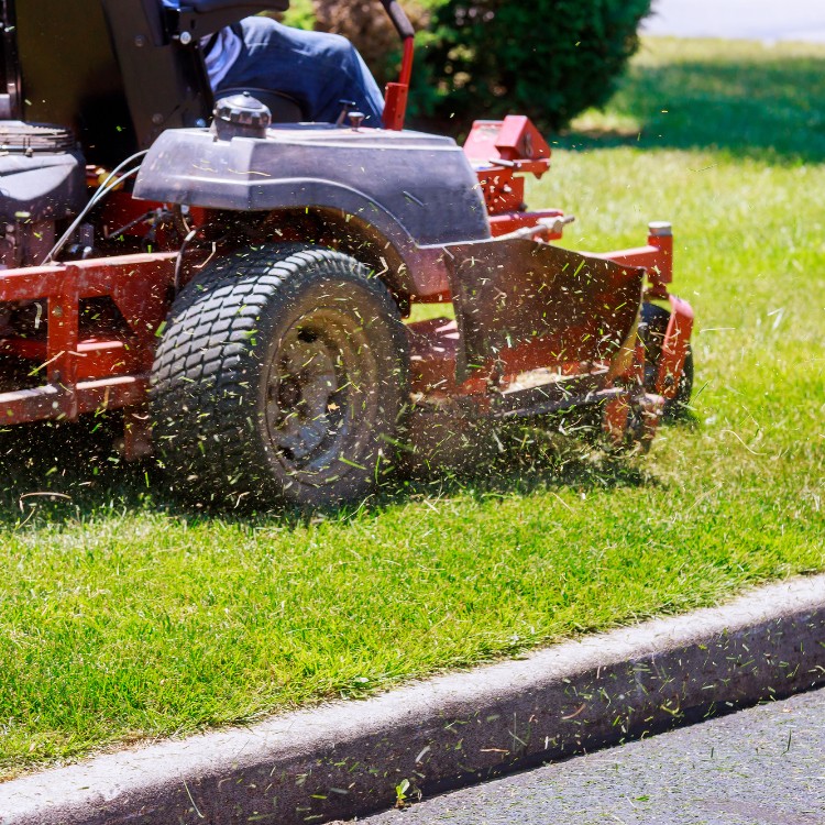 Lawn Care and Landscaping in Haslet, TX