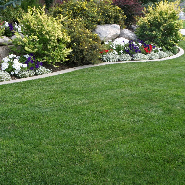 Lawn Care and Landscaping in Haslet, TX